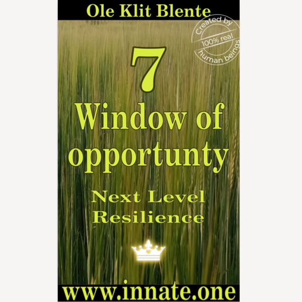 NLR 7. Window of opportunity